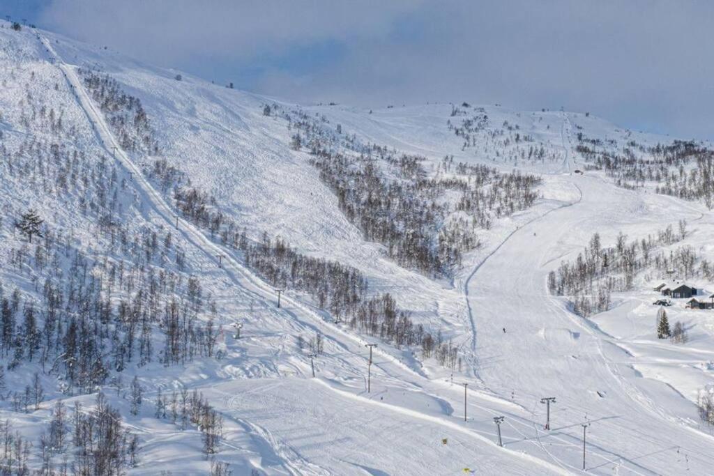 דירות Leilighet - Panorama View - Sogndal Skisenter Hodlekve מראה חיצוני תמונה